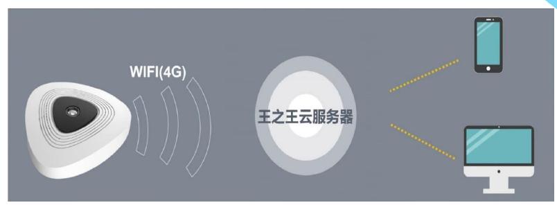 体育场馆智慧运营解决方案,王之王管理软件