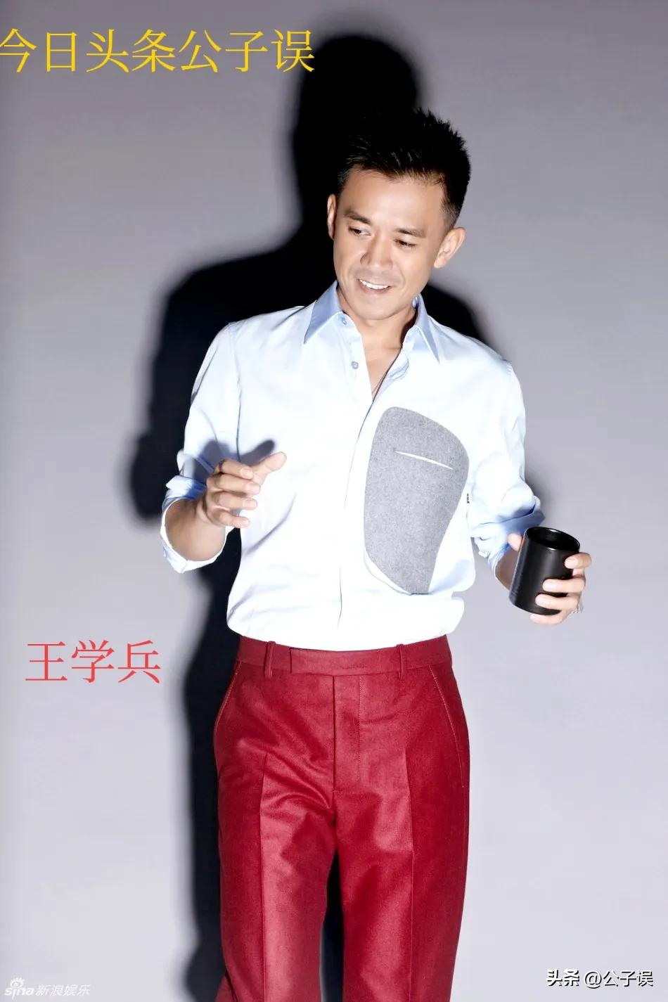 王学兵经历的事,王学兵最新事件