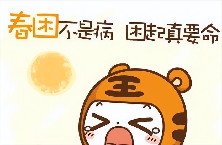 一年四季睡前适合喝的茶,温性的茶适合男女老少一年四季喝