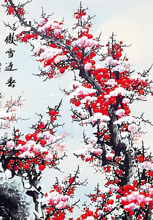 梅花香自苦寒来完整版,梅花香自苦寒来