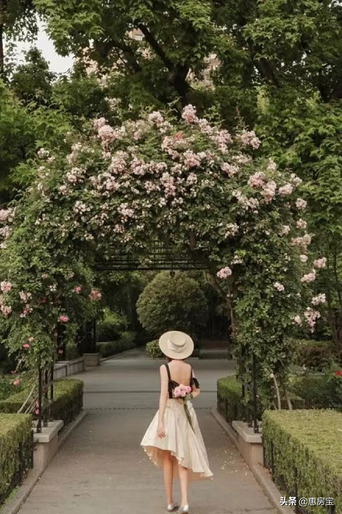 上海公园免费,上海免费公园排行