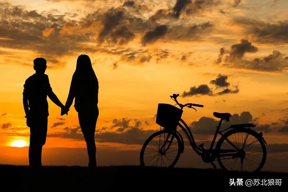 故乡的爱——一个普通男人和两个女人的故事（十七）