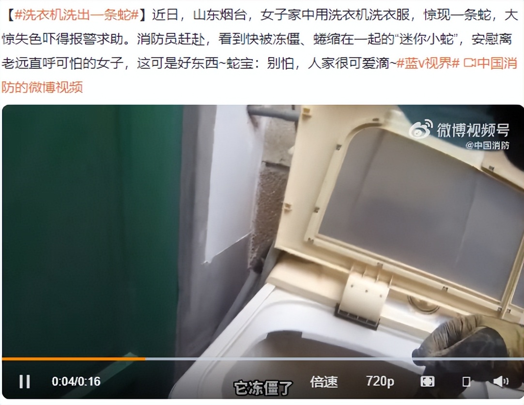 男子睡觉被蛇缠脚,男子被蛇缠腿3米