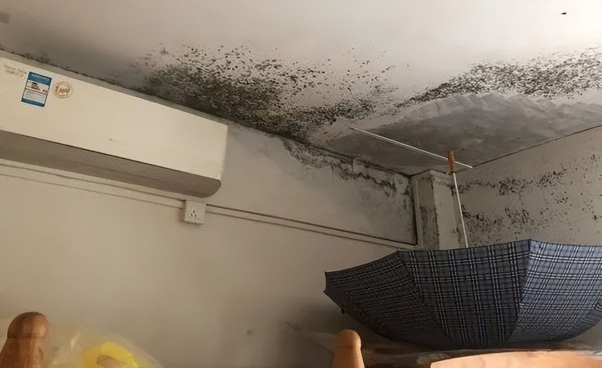 男子卧室建浴缸被楼下邻居投诉,楼上私改卫生间楼下漏水不讲理