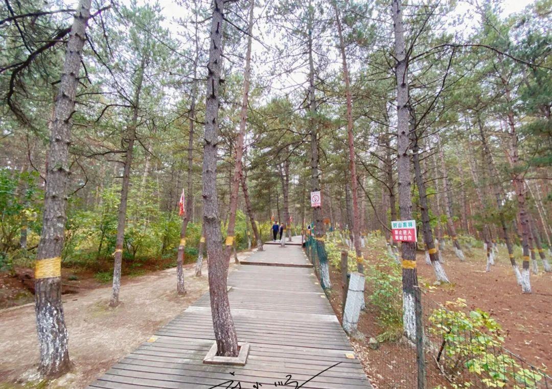 延吉的免费小众景点,游览延吉视频