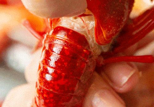 高校毕业生是宝贵的人才,合肥高校毕业生