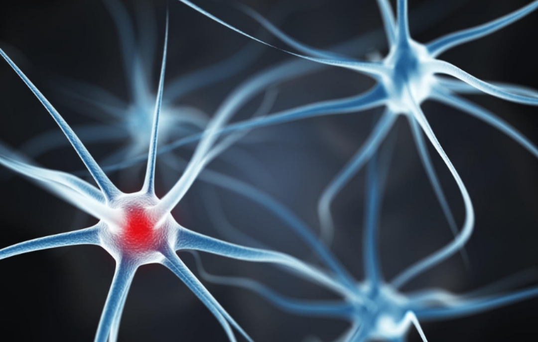 为什么夫妻生活久了，房事次数却少了？换个人也一样？看研究咋说