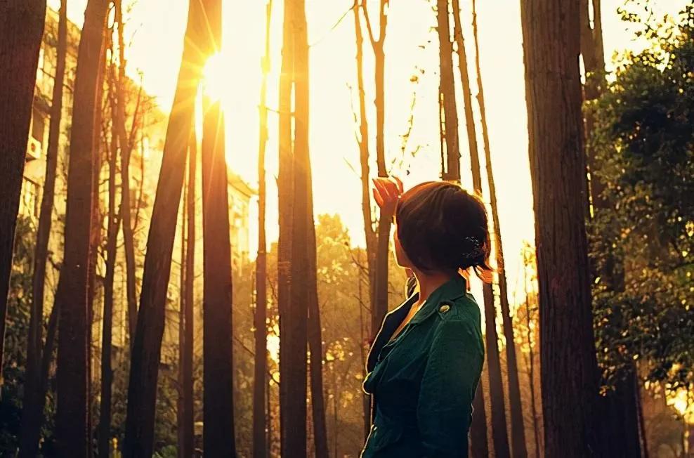 人生进退两难的时候怎么办,当你两难取舍的时候怎么办