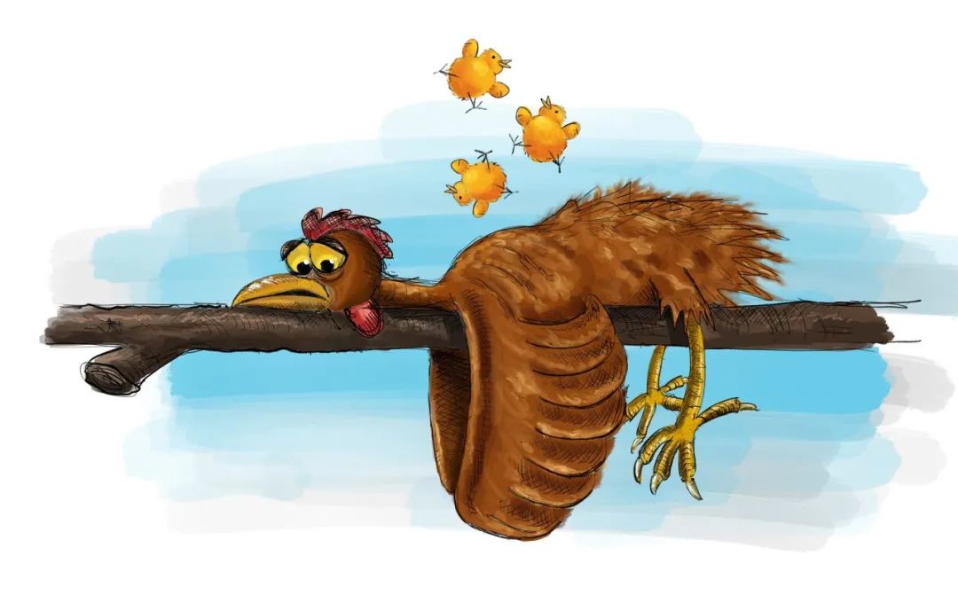 鸡中暑最佳治疗方法,鸡中暑了有些什么方法降暑的