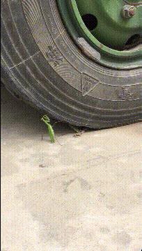 女生衣服上的字母含义,你知道衣服上的字什么意思吗