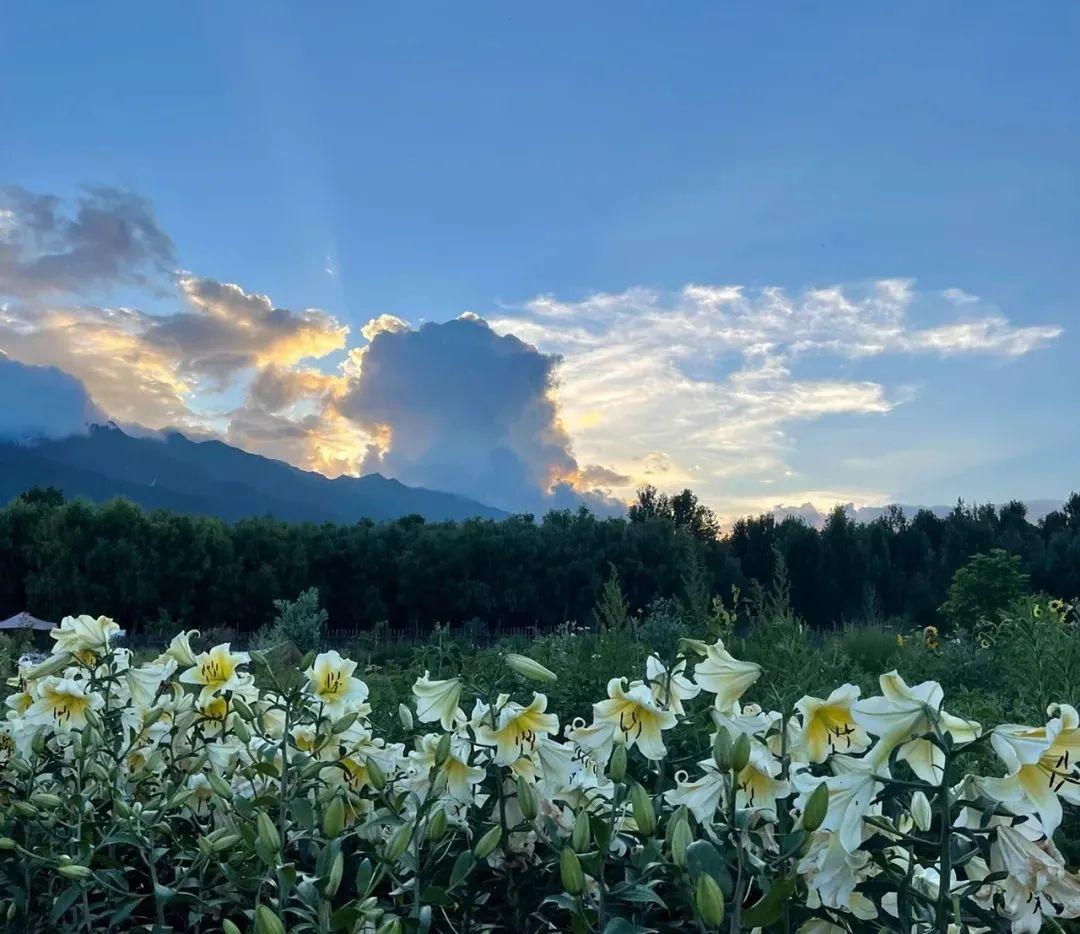 减肥文案可爱沙雕,沙雕又高级的文案