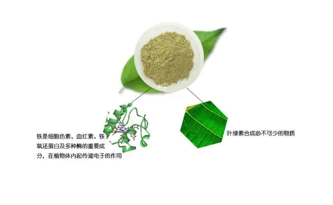 大棚菜苗发黄是什么原因,种菜有黄叶用什么方法可以解决