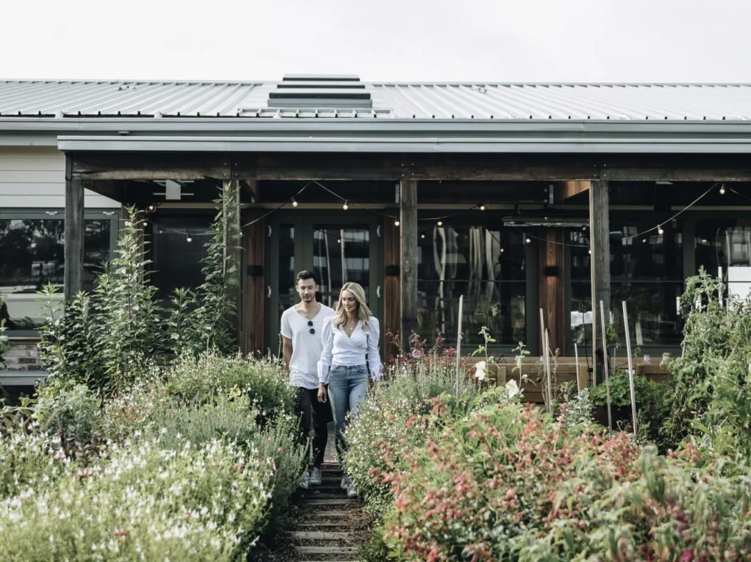 屋顶适合建设哪种绿色屋顶,绿色屋顶建筑