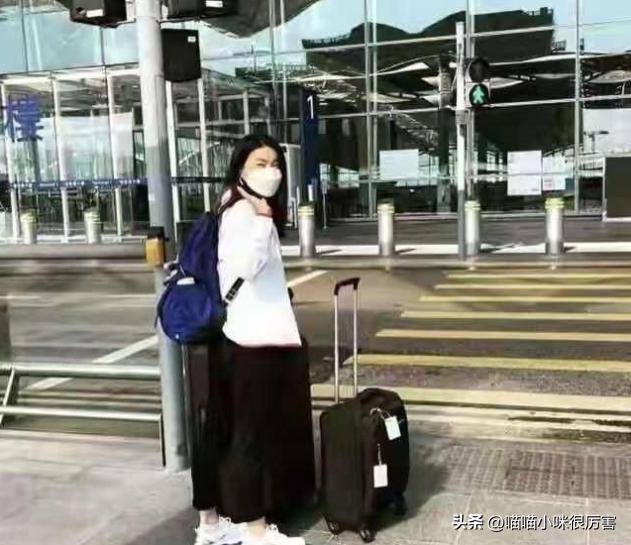 张杰谢娜道歉起波澜，这一次，内娱的毒瘤被扒得“*裤底**”都不剩了