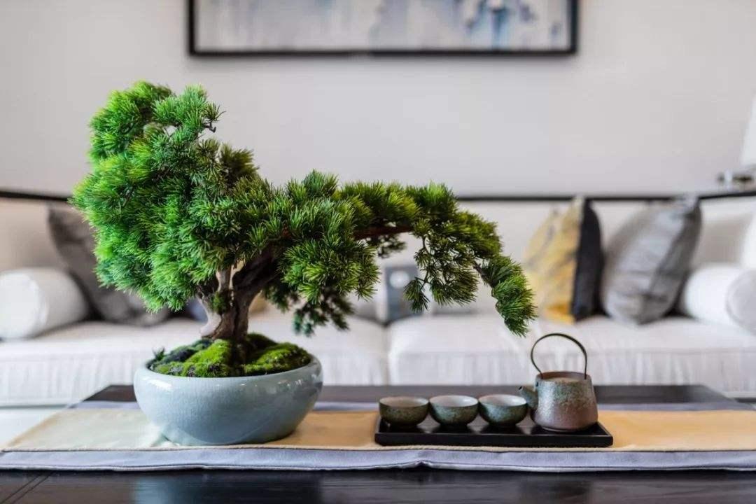 花草三不送,养花三不送