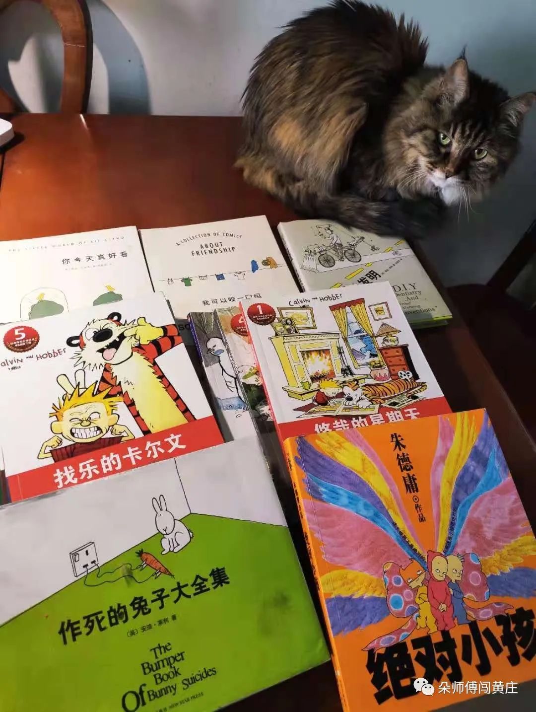 拒绝烂童书，朵妈帮你找到那些大V都不告诉你的好书