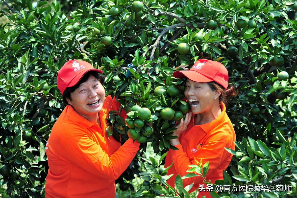 消囊肿散结的中药,可以消囊肿结节的中药