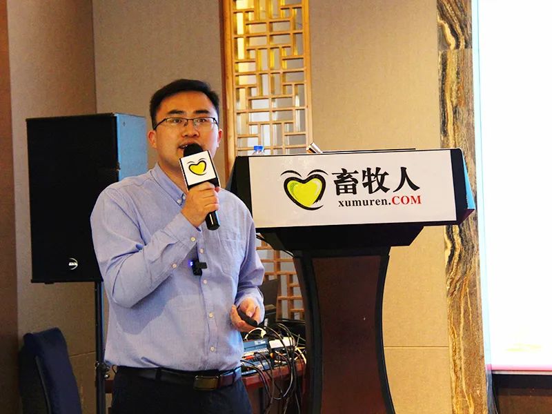 聚焦创新突破研讨发言材料,饲料企业爆品突破研讨会