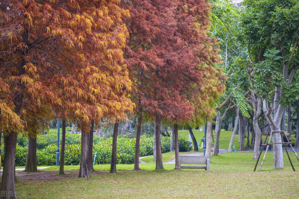 厦门旅游攻略必去的十个地方,厦门旅游攻略几个不错的地方必去