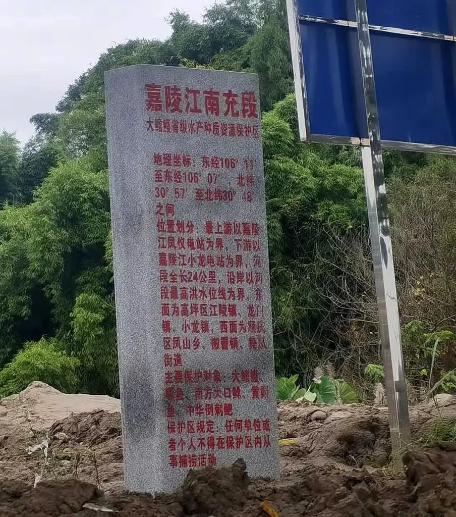 南充禁渔期哪里可以休闲垂钓,禁渔期南充哪儿可以野钓