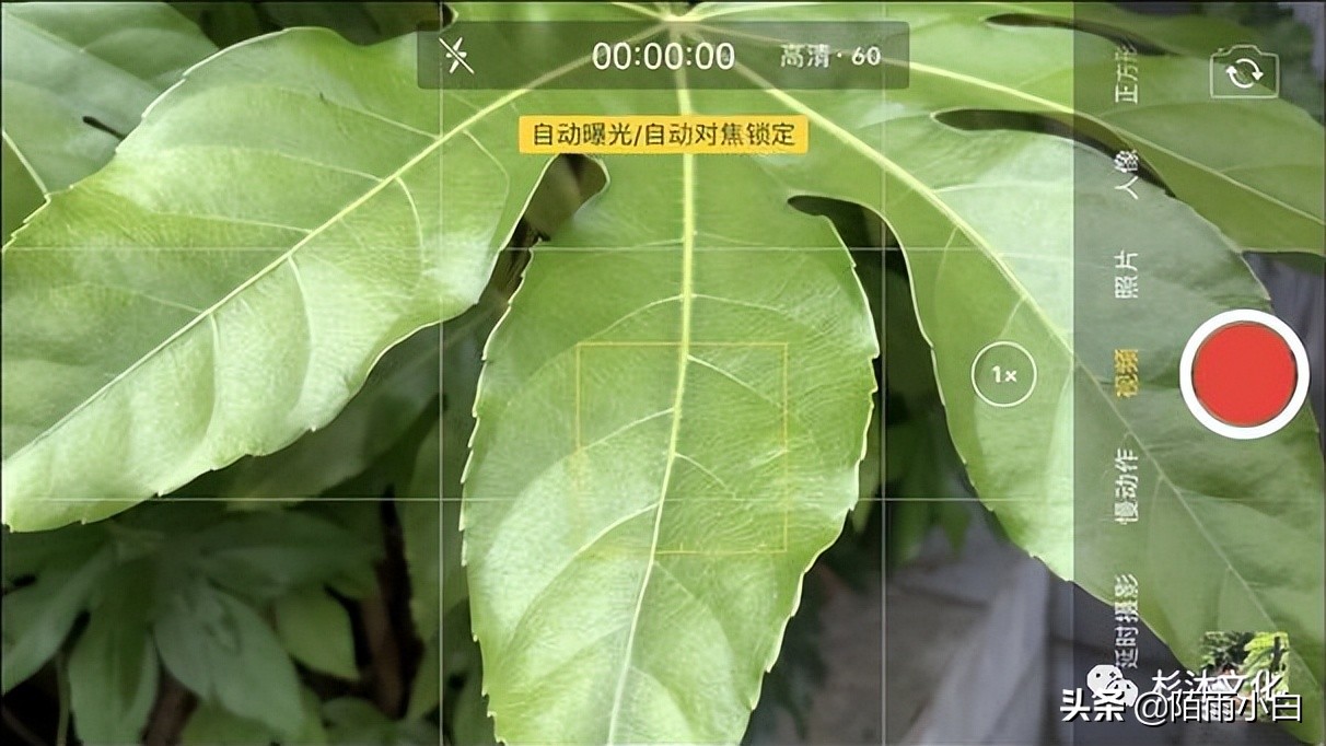 用手机拍短视频的技巧,拍带货短视频的技巧
