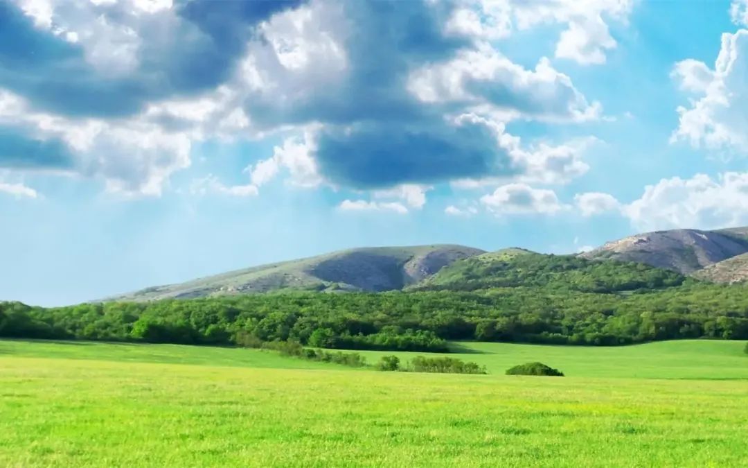 自画像作文四年级400字女生爱画画,我的自画像作文四年级优秀范文