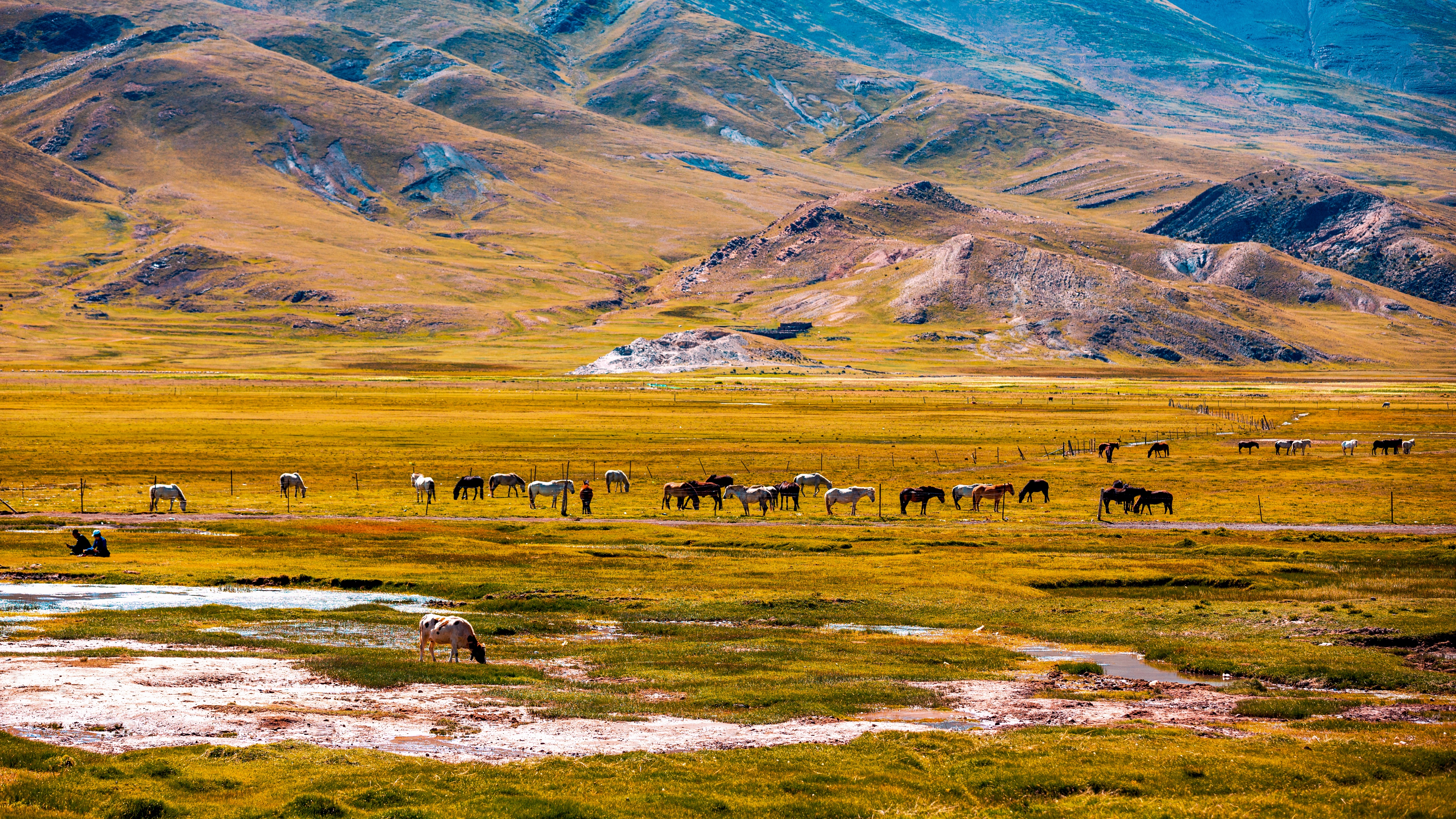 错过了十月的*藏西**，你就错过了这个星球最壮丽的秋色