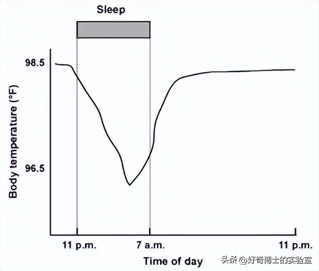 夫妻睡多大的床,男生睡多大的床最合适
