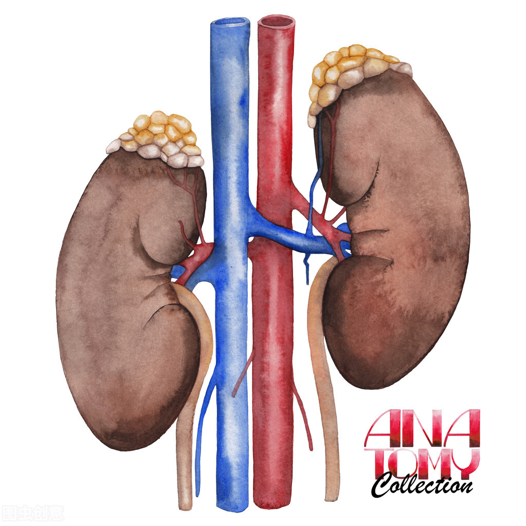 肾炎的类型有哪几种,肾小球肾炎分几种类型