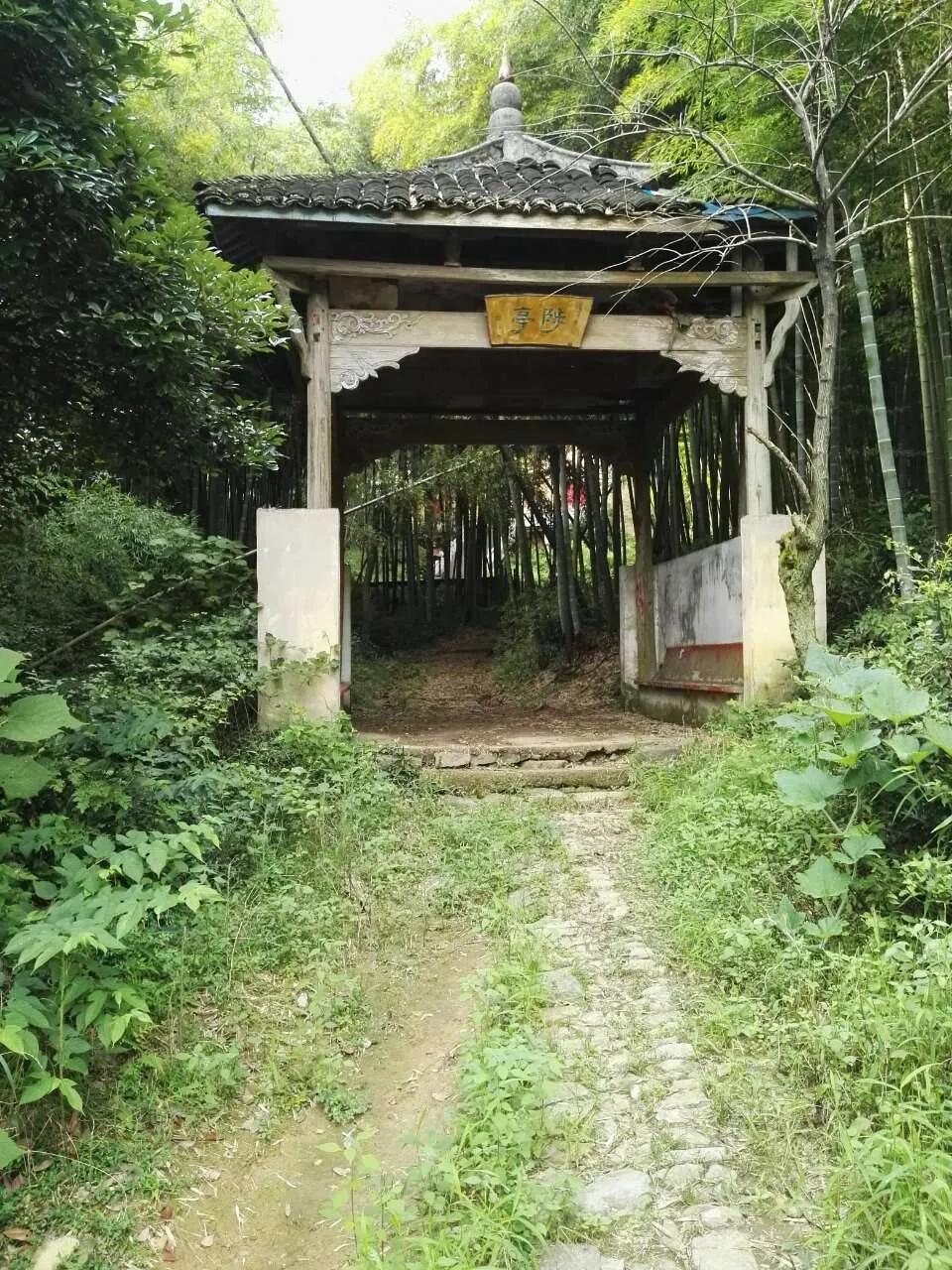 传统文化埭溪老街,古镇老街传统文化和现代时尚潮流