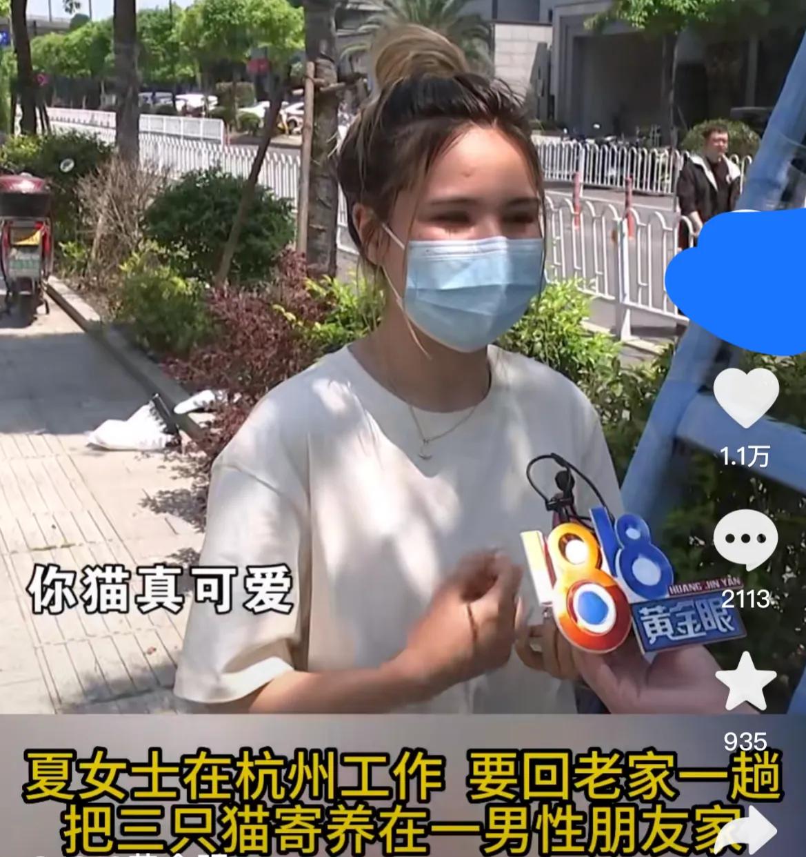 网上领养猫被骗1万,女子将猫寄养疑似被骗