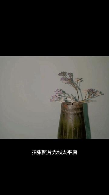 6款实用的手机修图软件推荐,有哪些神仙级的修图app