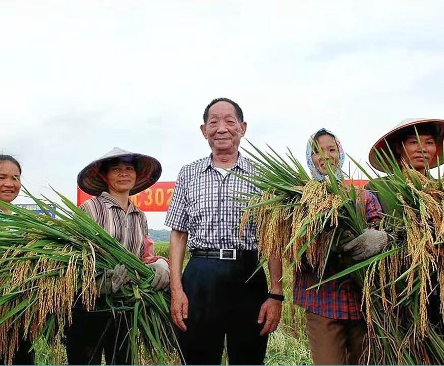 袁隆平年轻时的故事,袁隆平年轻时代