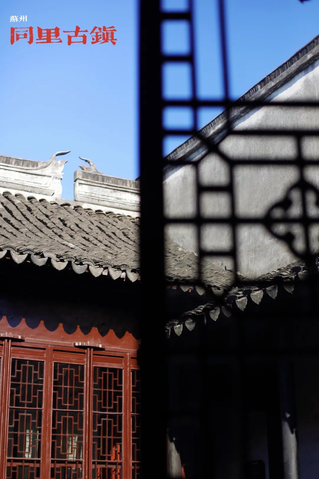 苏州古镇两天一夜旅游攻略,去苏州怎么玩一日游