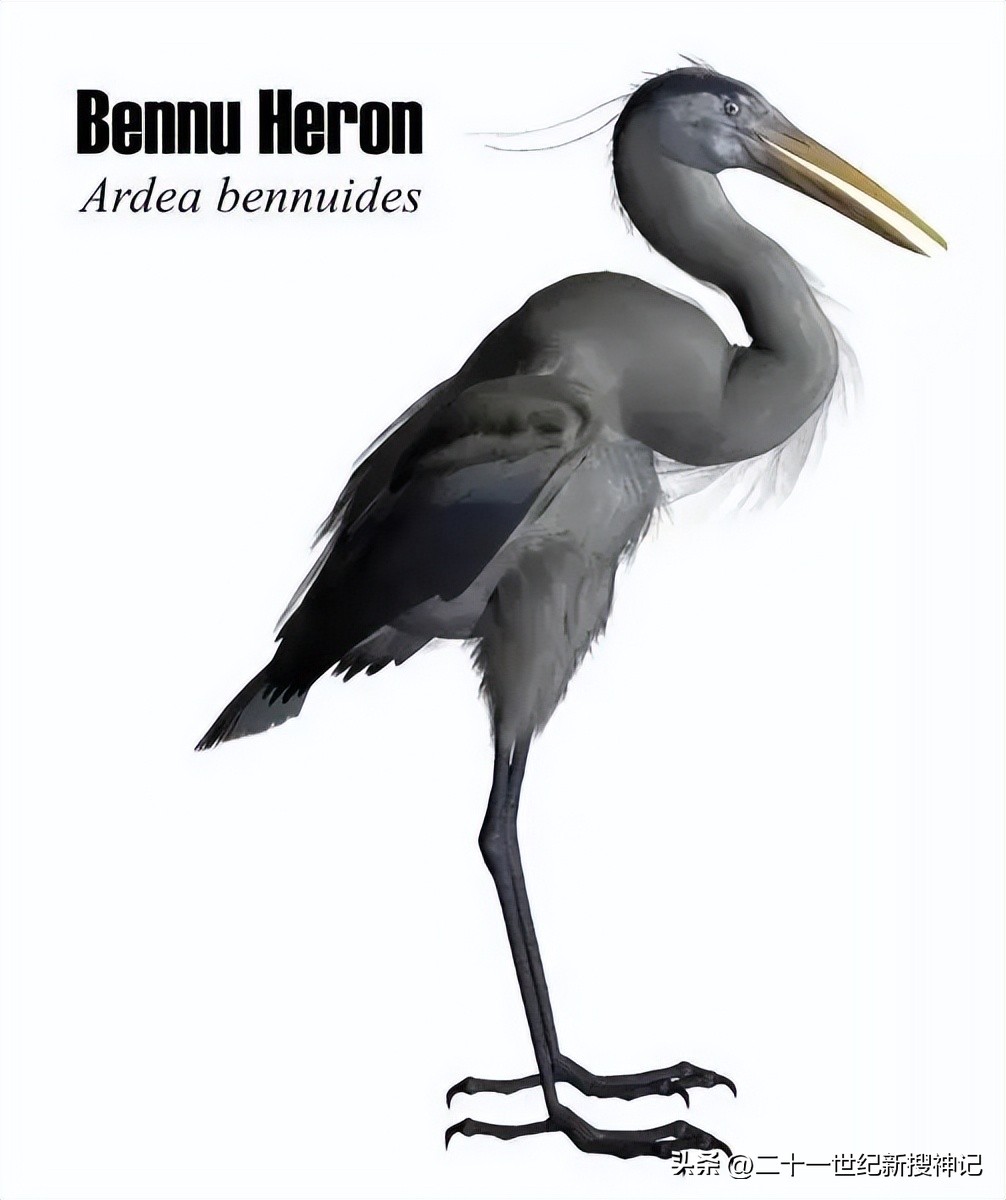 十二生肖的神兽故事,十二生肖神兽故事