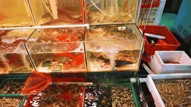 海美、小吃巨好吃！这个神还原游戏世界的小城，不该这样被埋没！