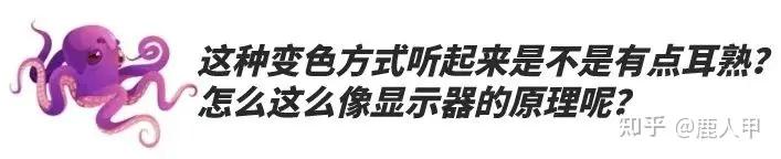 显示器的色域是srgb还是ntsc,显示器的色域值用什么软件测