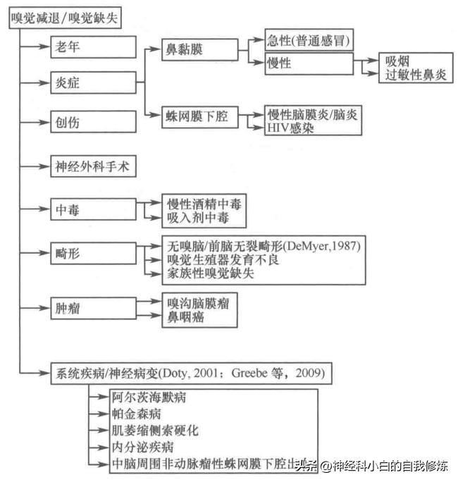 颅神经查体：I嗅神经