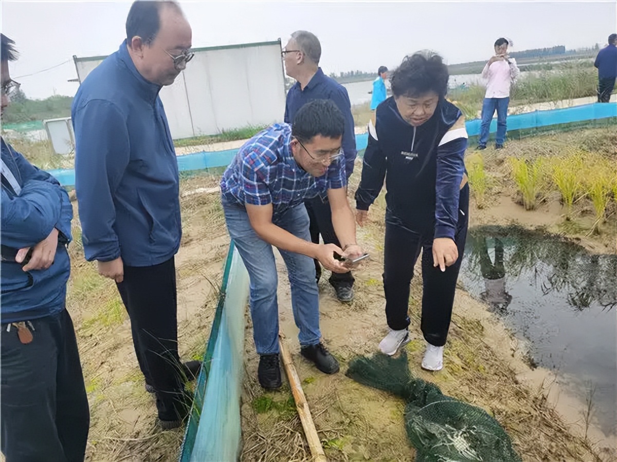 辛巴辛有志探索公益助农之路,辛巴辛有志公益助农