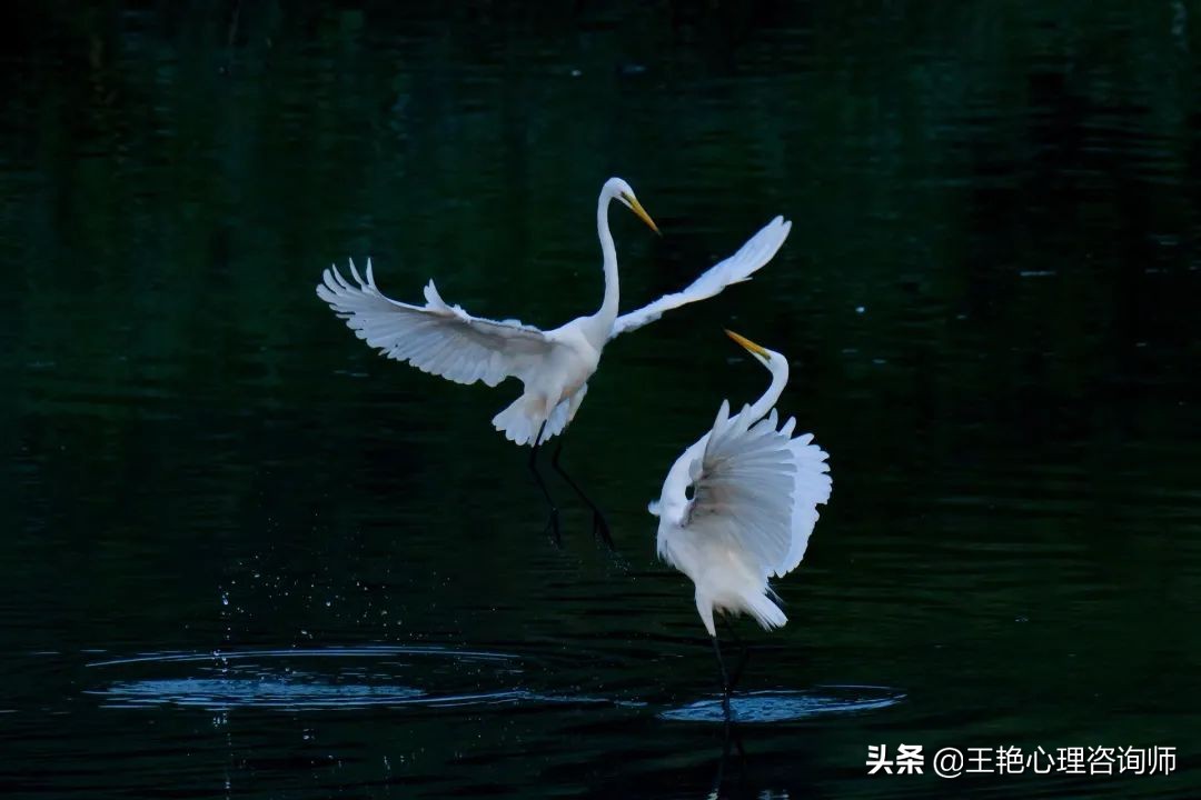 成年人如何克服人性的弱点,成年人羞耻心不要太强