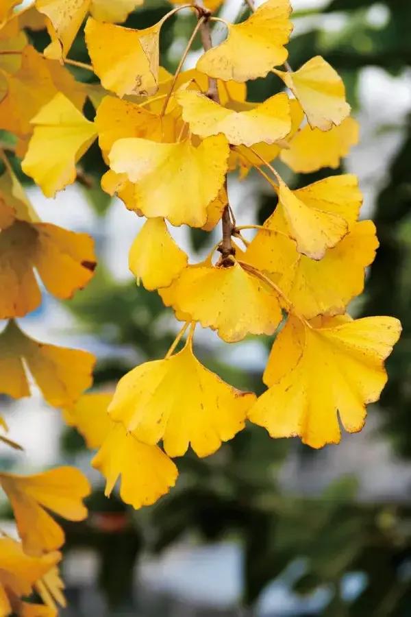 蓝颜红颜是不是谎言,蓝颜红颜小说全文阅读