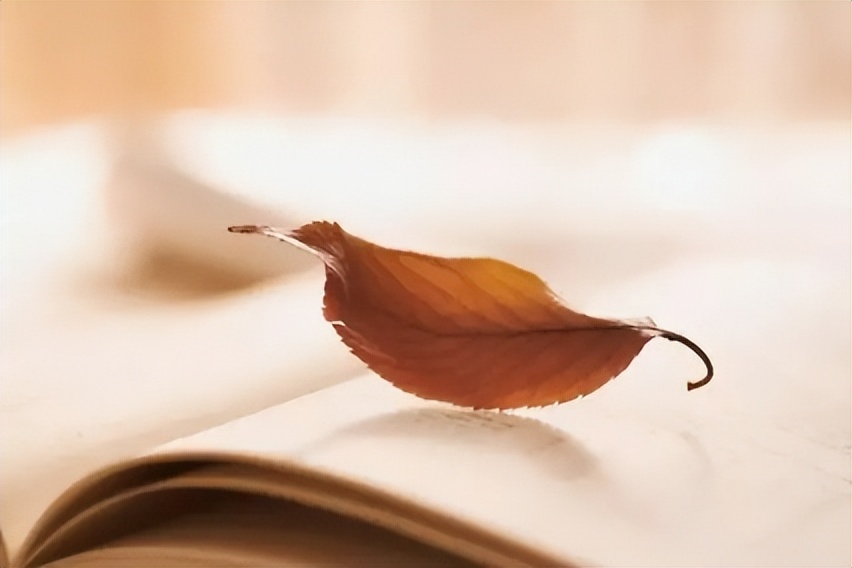 人生就是一场领悟完整版,人生就是一场历练黄渤