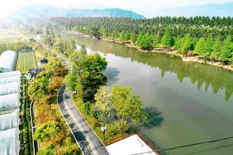 温州秋天的景,温州的秋天