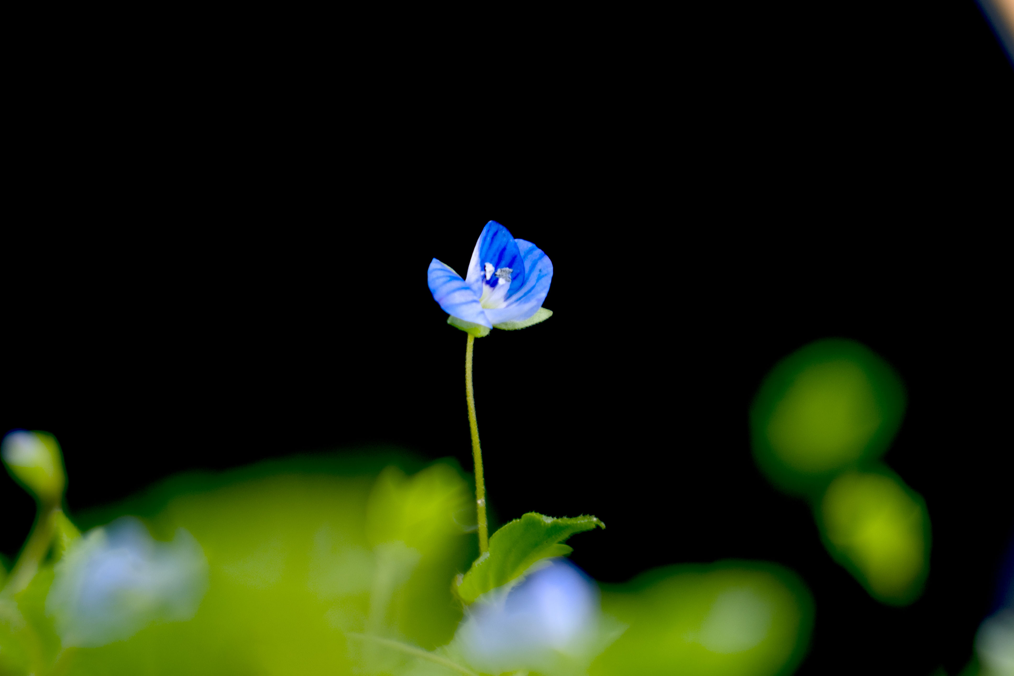 无热靴闪光灯和新闪光灯的区别,热靴闪光灯拍人像与闪光灯区别