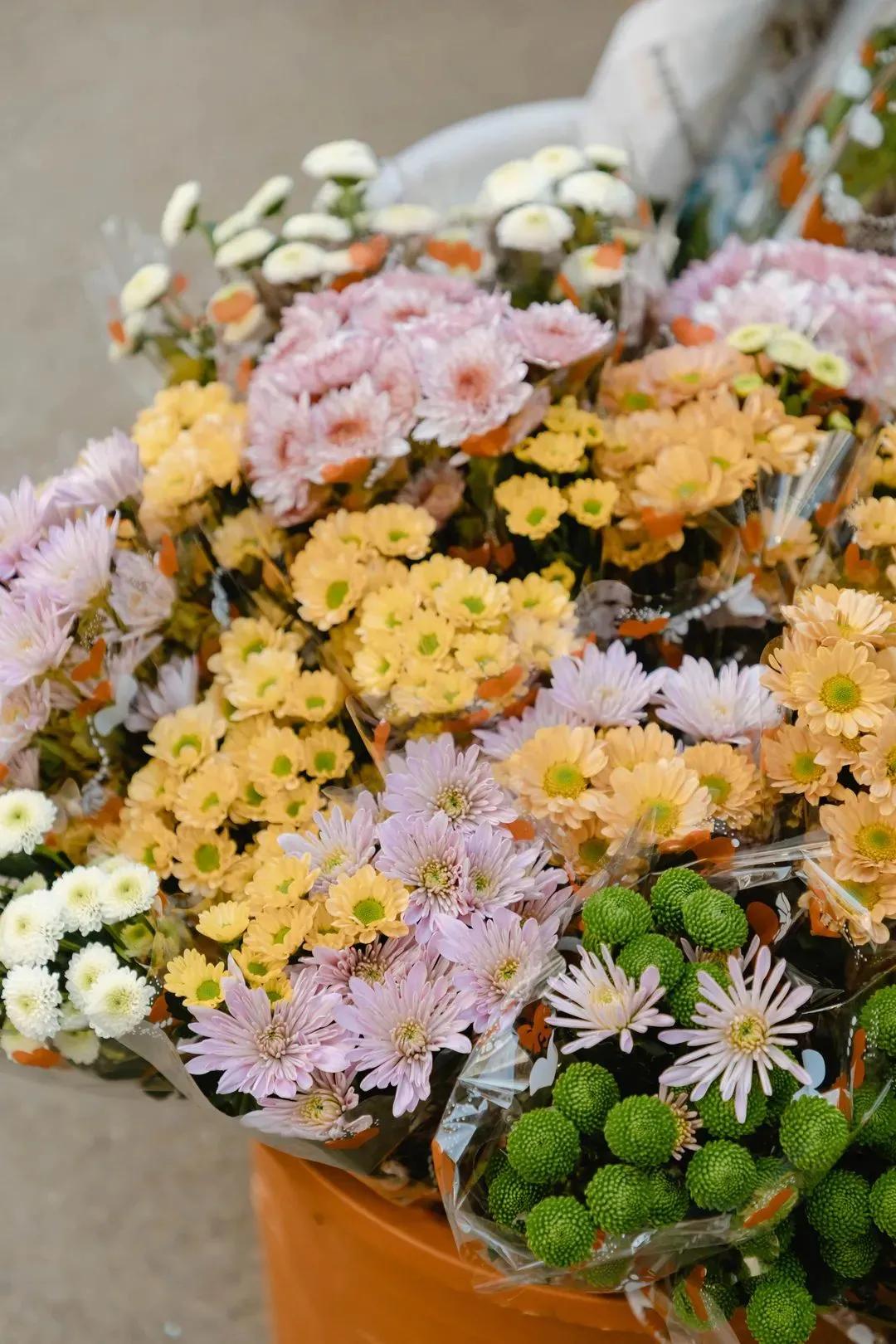 成都伏龙小区伏龙一街,土味城中村