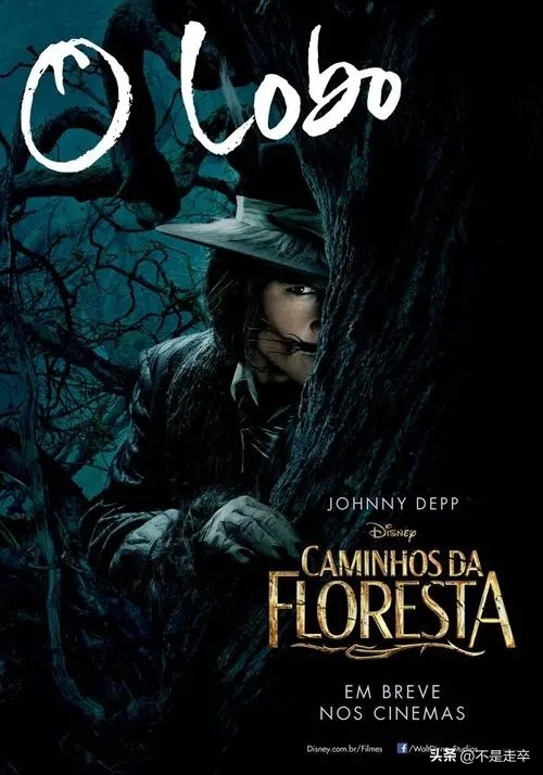 黑暗森林中的奇幻冒险,魔法黑森林看法