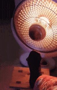 妹子的皮裤穿的真紧，有人知道妹子皮裤上的包怎么回事么，哈哈