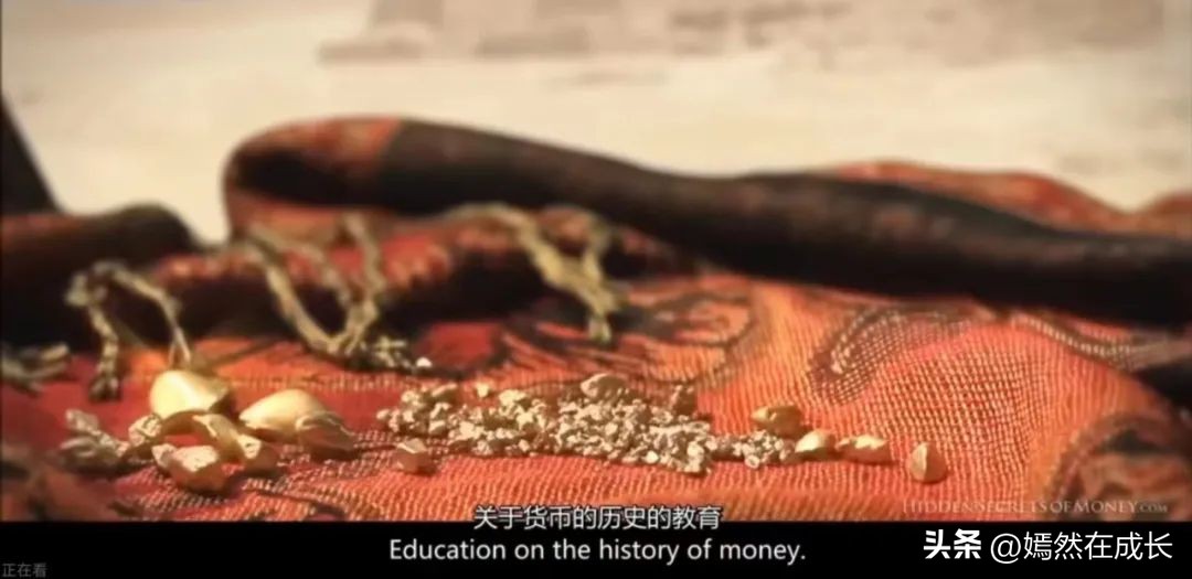 当女生开始看纪录片认知格局炸裂,让小孩格局炸裂的纪录片