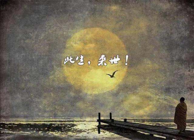 花妖杭州,花妖和杭州