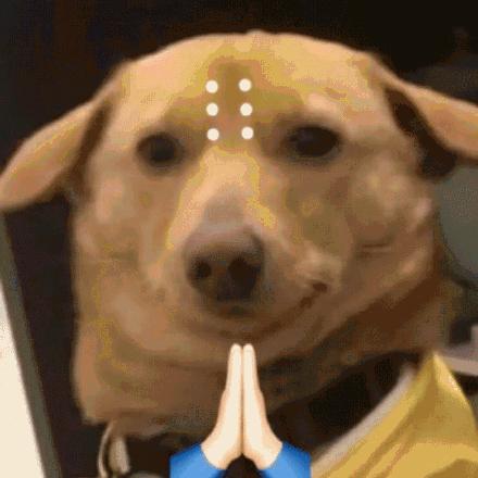 最靠谱的看大片神器,全球最大的看电影软件